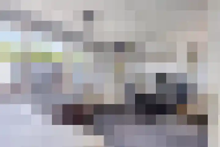 Slingehof 38 Ridderkerk thumbnail 29
