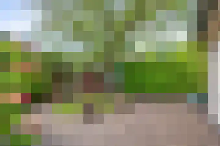 Slingehof 38 Ridderkerk thumbnail 32