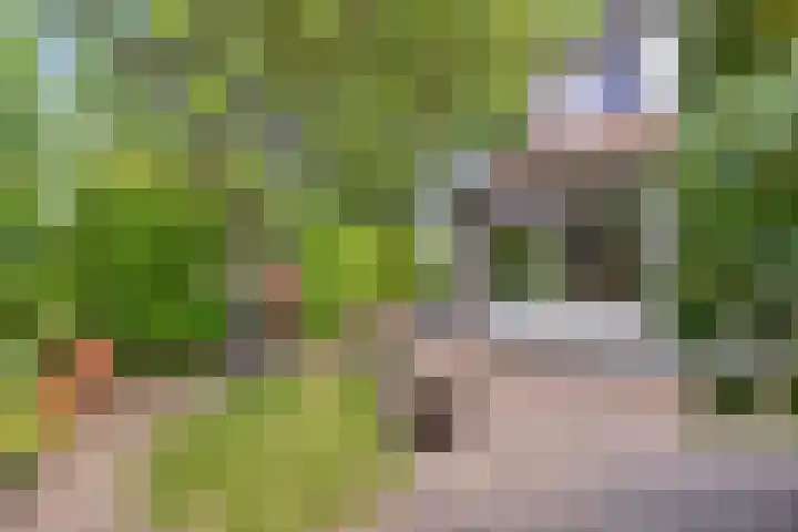 Slingehof 38 Ridderkerk thumbnail 33