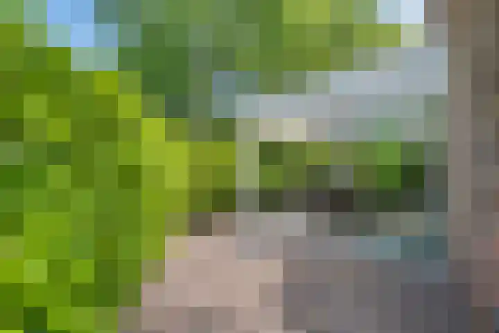 Slingehof 38 Ridderkerk thumbnail 4