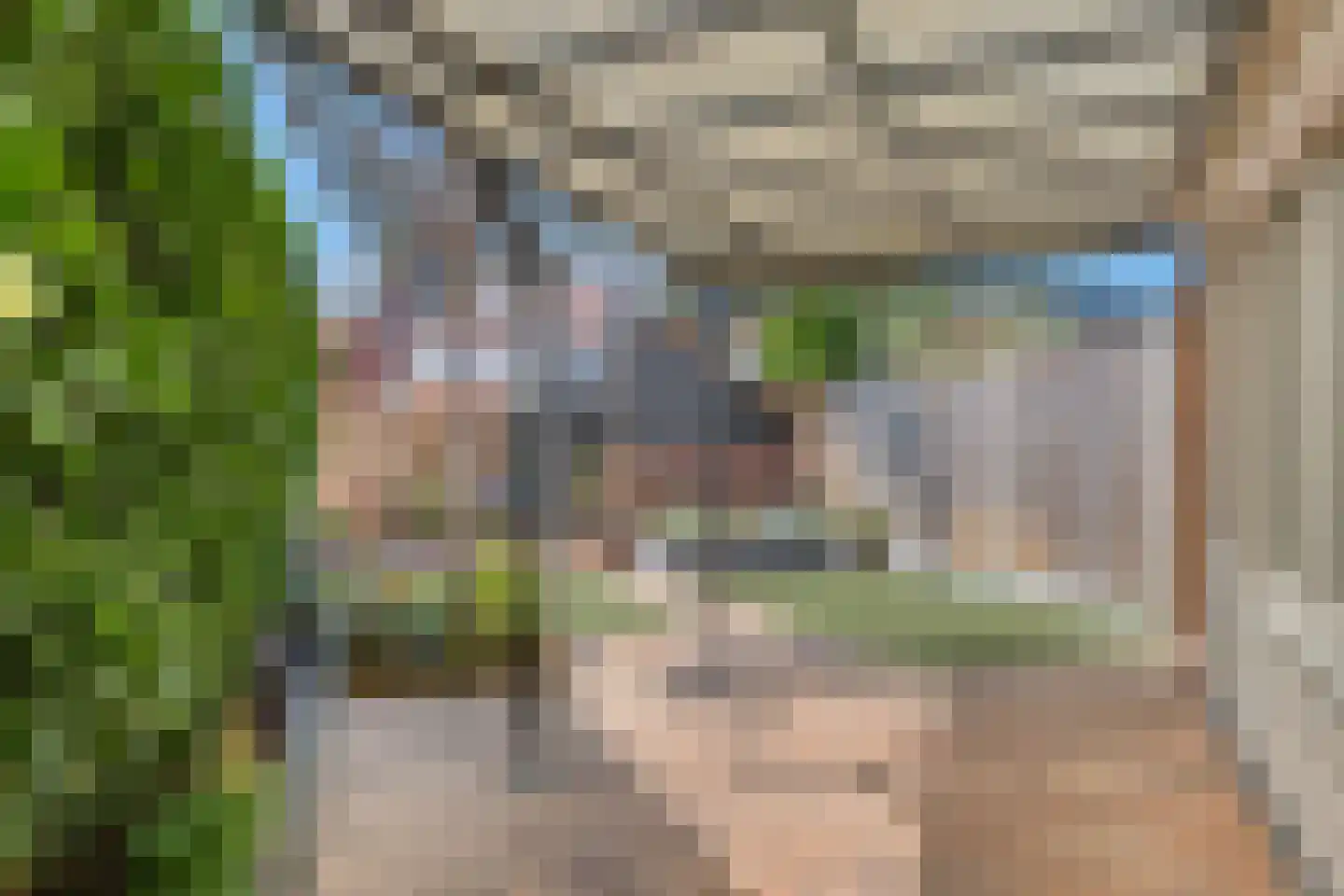Slingehof 43 Ridderkerk thumbnail 35