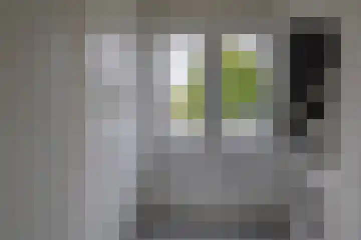 Slingehof 54 Ridderkerk thumbnail 11