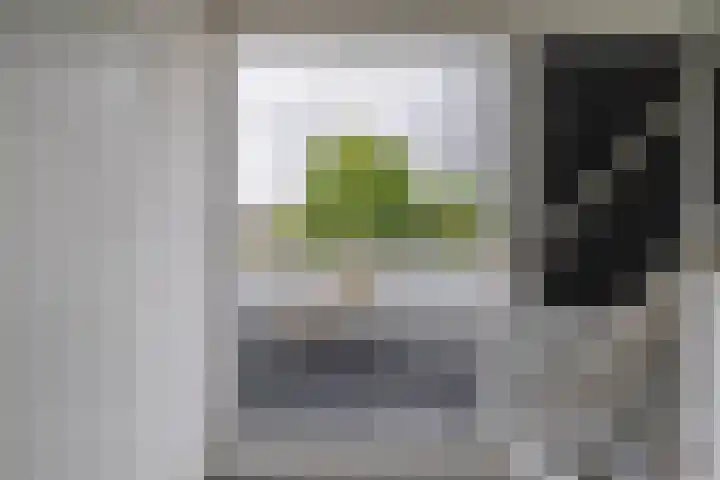 Slingehof 54 Ridderkerk thumbnail 12