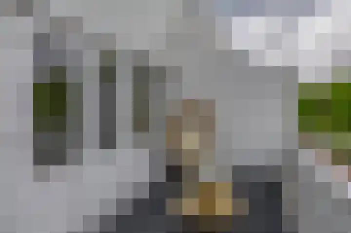 Slingehof 54 Ridderkerk thumbnail 14
