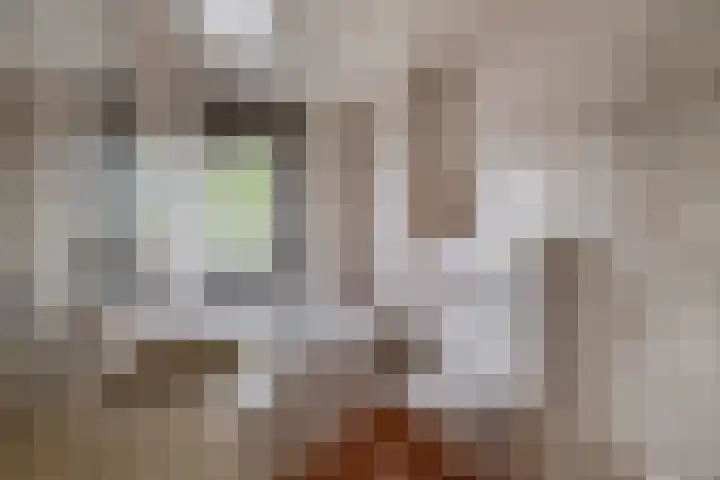 Slingehof 54 Ridderkerk thumbnail 17