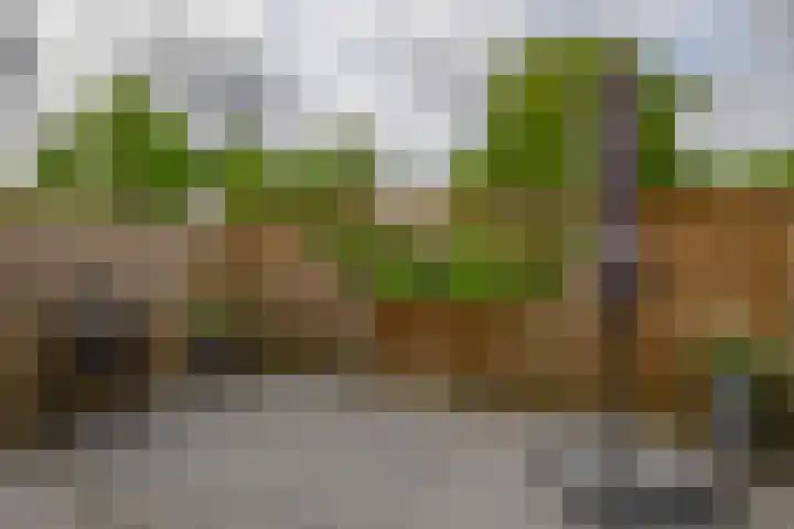 Slingehof 54 Ridderkerk thumbnail 21