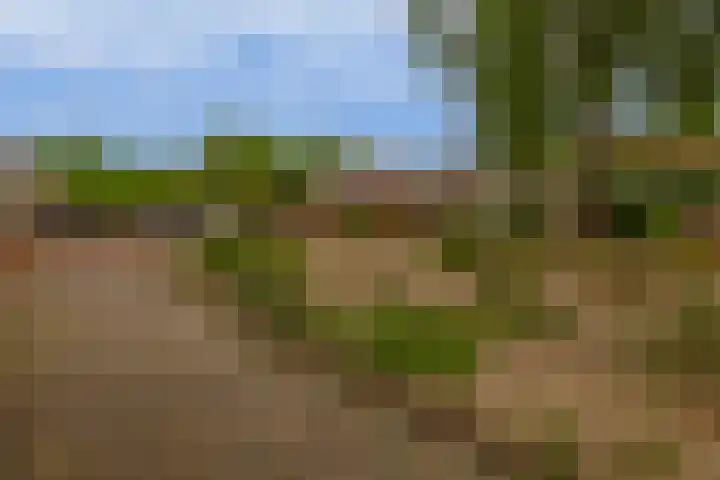 Slingehof 54 Ridderkerk thumbnail 22