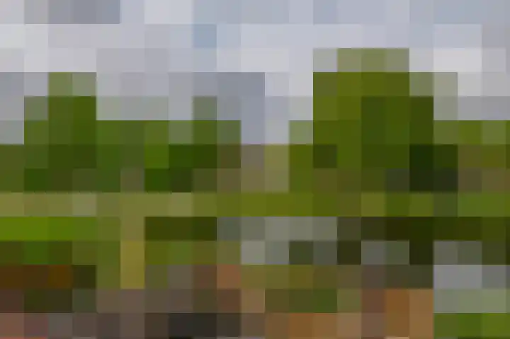 Slingehof 54 Ridderkerk thumbnail 23