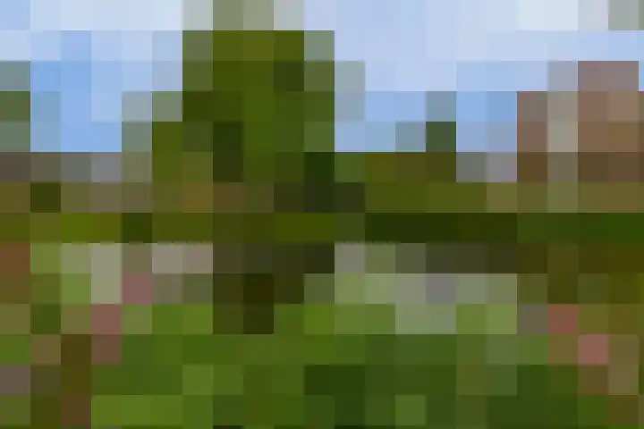 Slingehof 54 Ridderkerk thumbnail 24