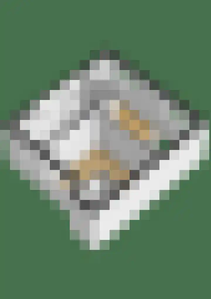 Slingehof 54 Ridderkerk thumbnail 30