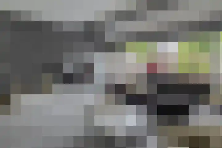 Slingehof 54 Ridderkerk thumbnail 7
