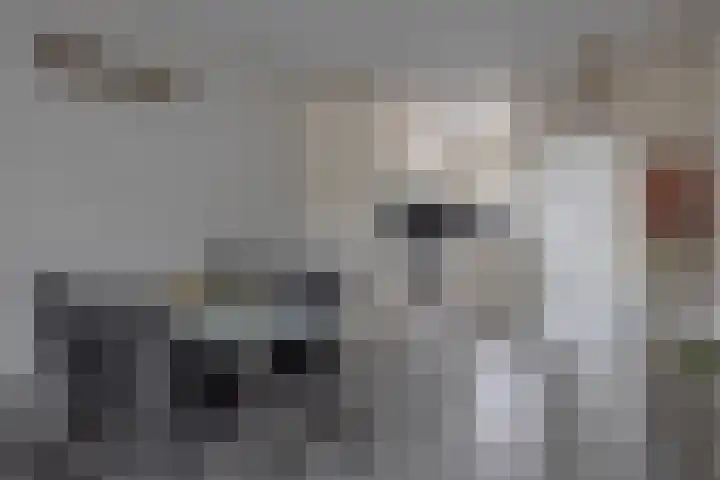 Slingehof 54 Ridderkerk thumbnail 8