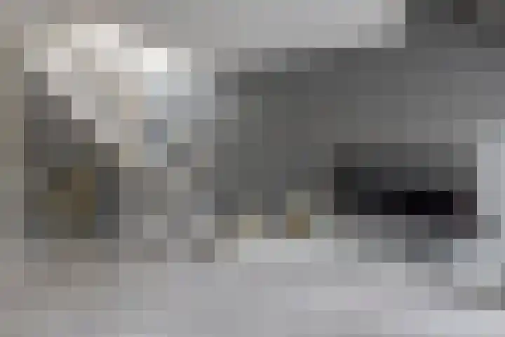 Slingehof 54 Ridderkerk thumbnail 9