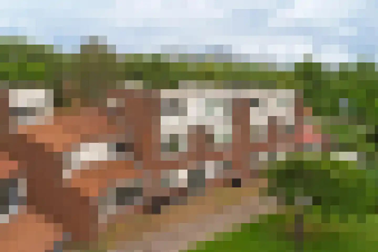 Slingehof 73 Ridderkerk thumbnail 40