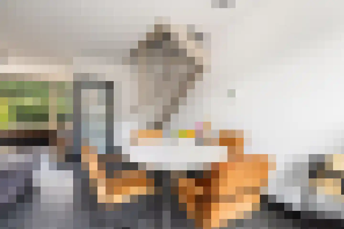 Slingeland 20 Zevenbergen thumbnail 17