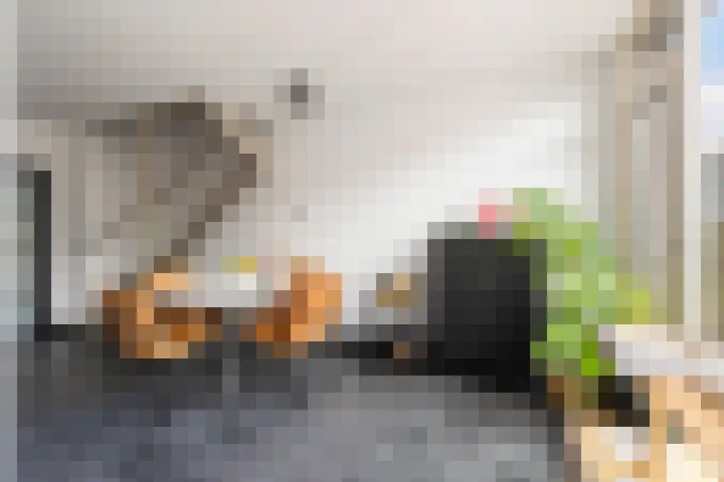 Slingeland 20 Zevenbergen thumbnail 22