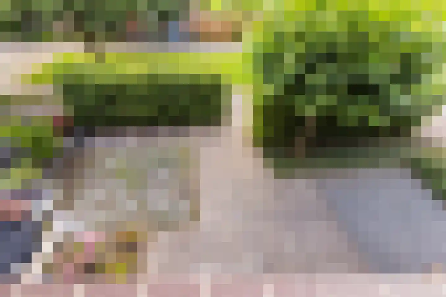 Slingeland 20 Zevenbergen thumbnail 32