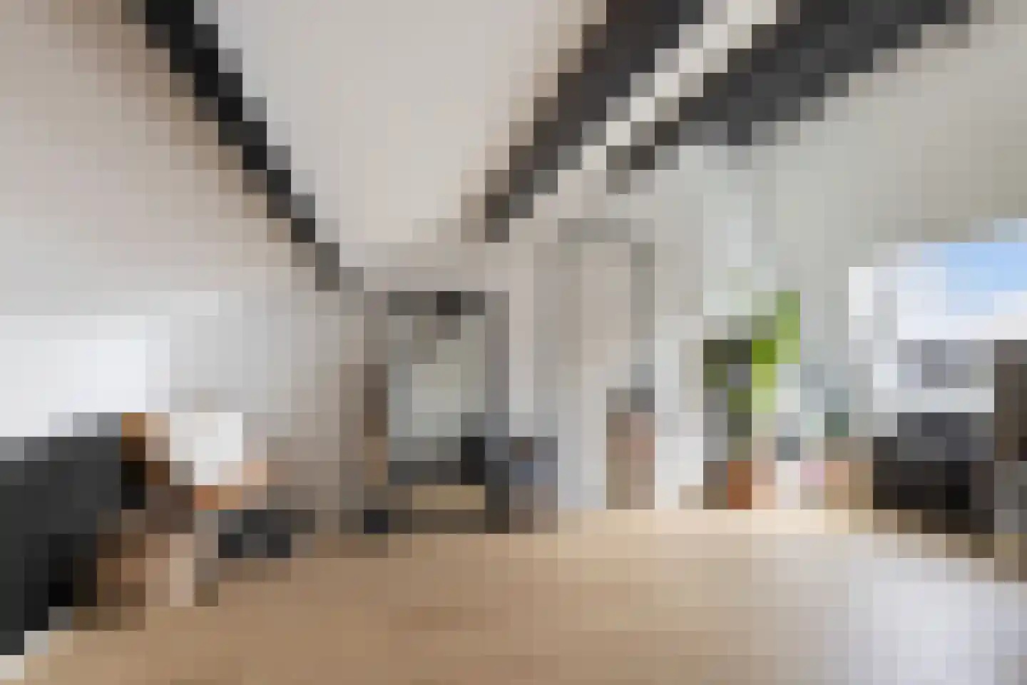 Slingeland 20 Zevenbergen thumbnail 37