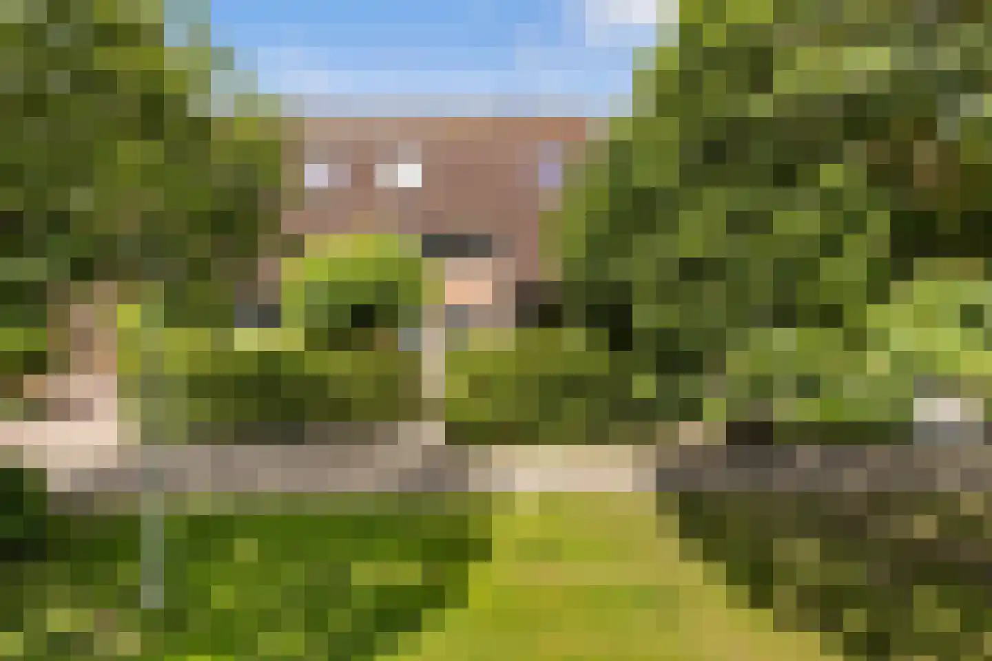 Slingeland 20 Zevenbergen thumbnail 43
