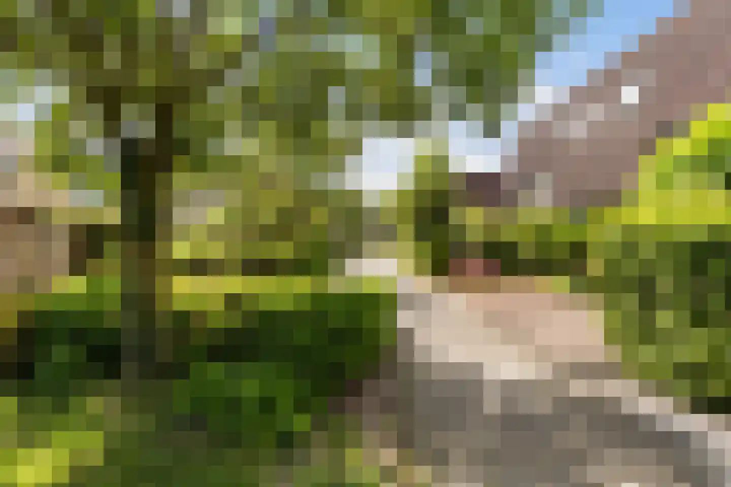 Slingeland 20 Zevenbergen thumbnail 44