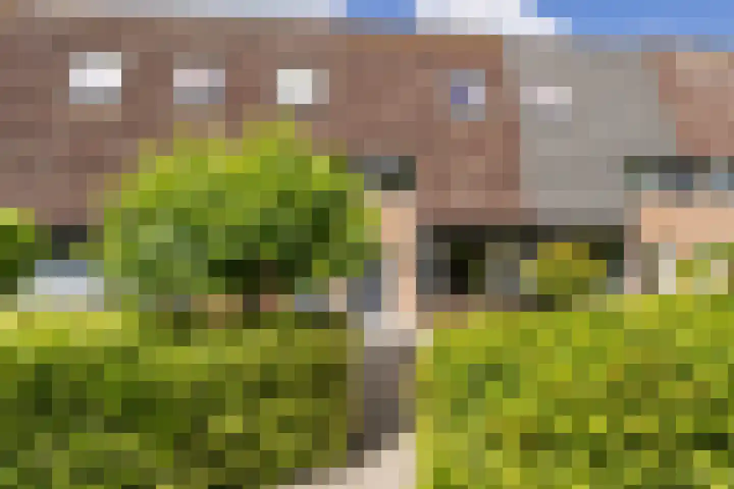 Slingeland 20 Zevenbergen thumbnail 5