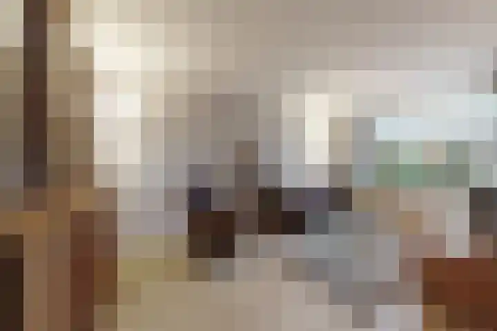 Slingeland 4 Zevenbergen thumbnail 10