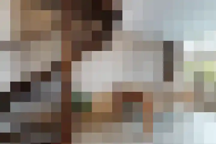 Slingeland 4 Zevenbergen thumbnail 16