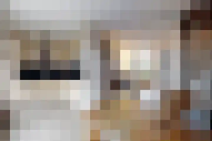Slingeland 4 Zevenbergen thumbnail 19