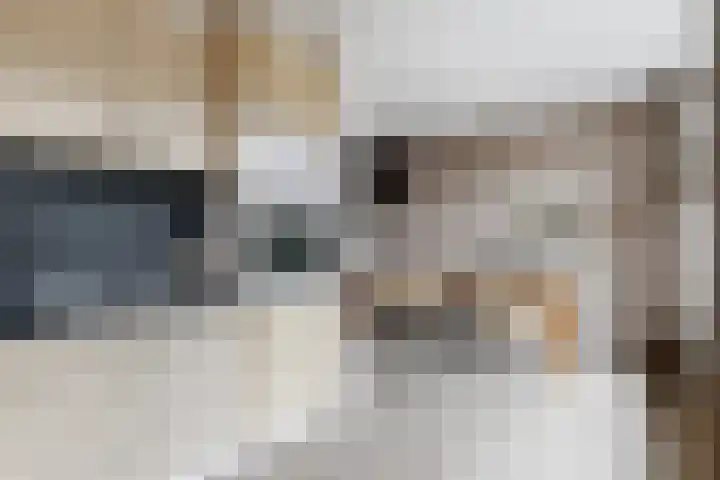 Slingeland 4 Zevenbergen thumbnail 20