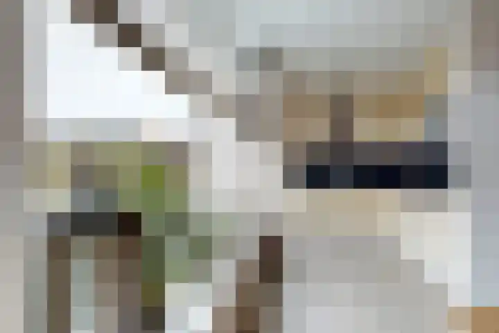 Slingeland 4 Zevenbergen thumbnail 23