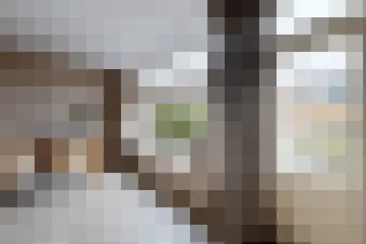Slingeland 4 Zevenbergen thumbnail 24