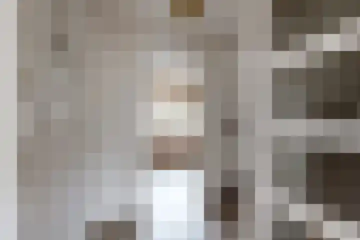 Slingeland 4 Zevenbergen thumbnail 25