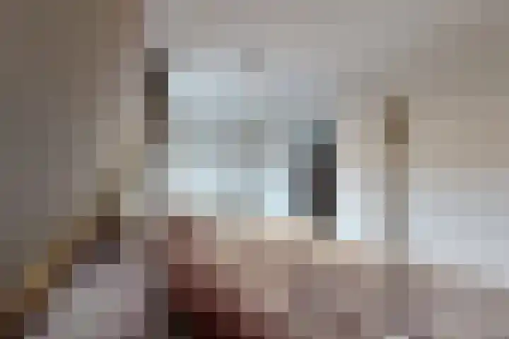 Slingeland 4 Zevenbergen thumbnail 26