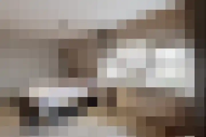 Slingeland 4 Zevenbergen thumbnail 28