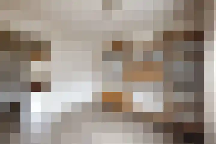 Slingeland 4 Zevenbergen thumbnail 33