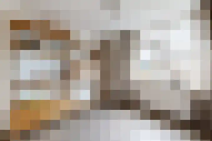 Slingeland 4 Zevenbergen thumbnail 34