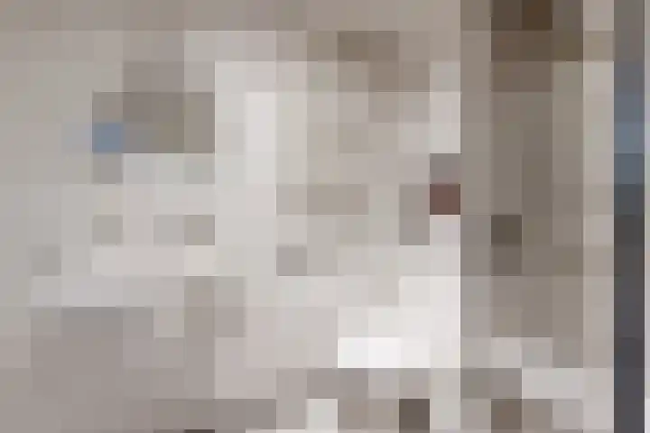 Slingeland 4 Zevenbergen thumbnail 37