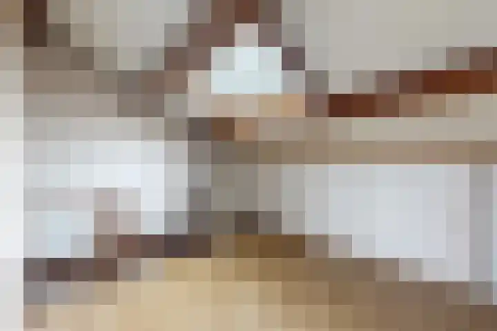 Slingeland 4 Zevenbergen thumbnail 39