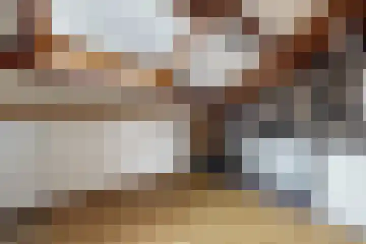 Slingeland 4 Zevenbergen thumbnail 40