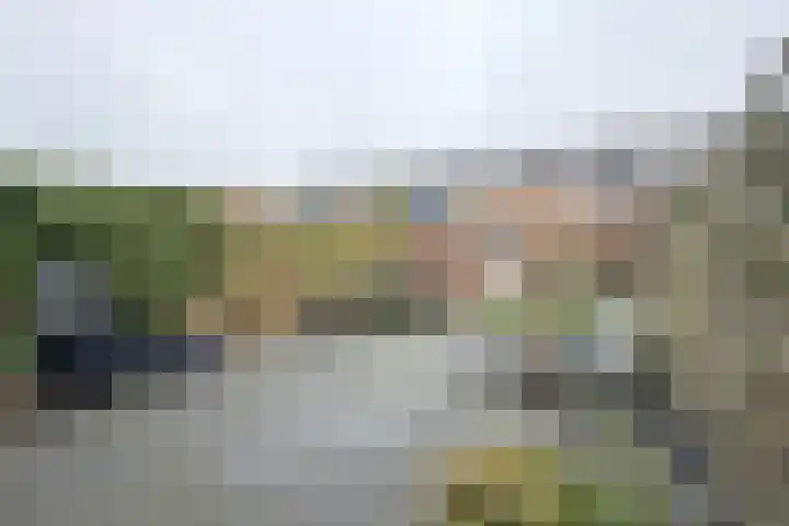 Slingeland 4 Zevenbergen thumbnail 46