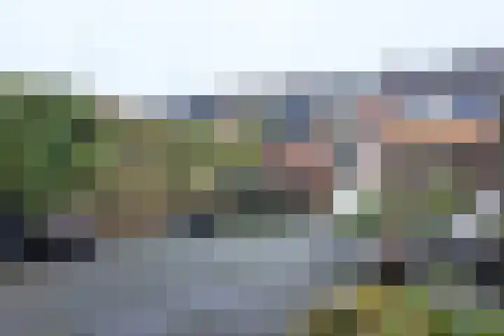 Slingeland 4 Zevenbergen thumbnail 48