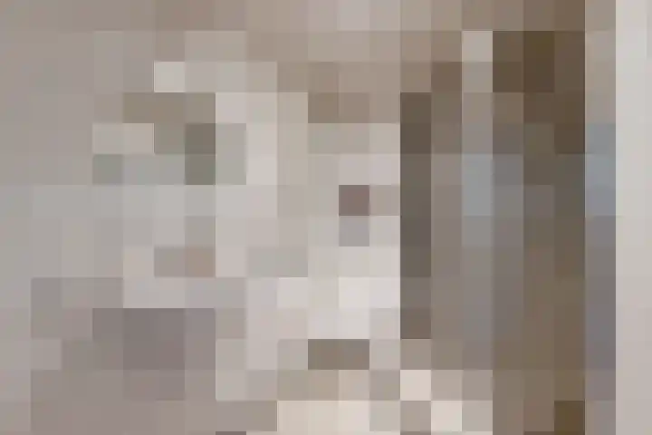 Slingeland 4 Zevenbergen thumbnail 5