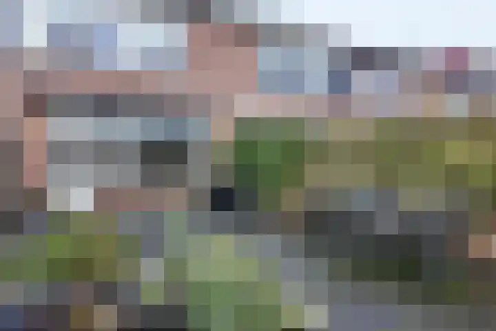 Slingeland 4 Zevenbergen thumbnail 52