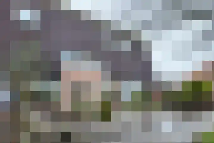 Slingeland 4 Zevenbergen thumbnail 54