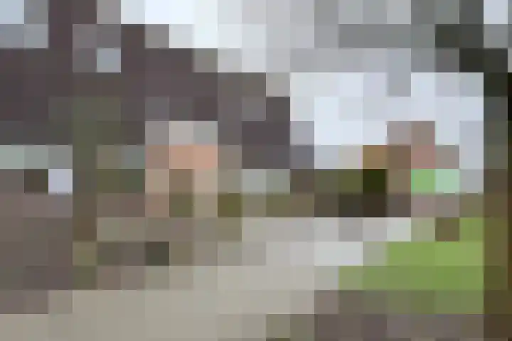 Slingeland 4 Zevenbergen thumbnail 55