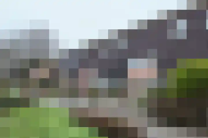 Slingeland 4 Zevenbergen thumbnail 57