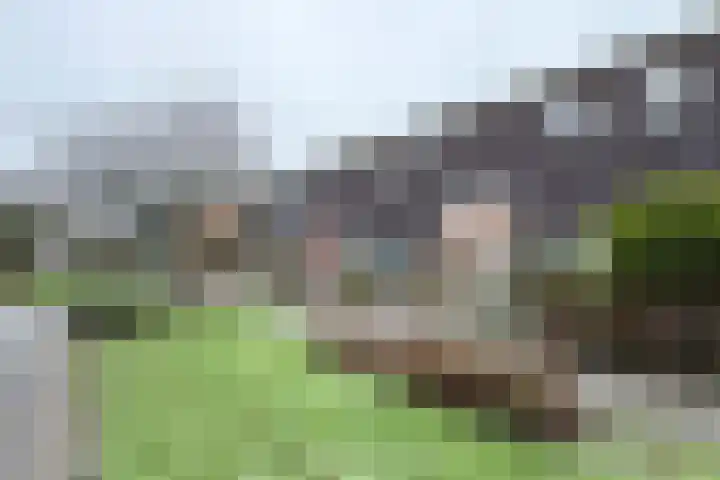 Slingeland 4 Zevenbergen thumbnail 58