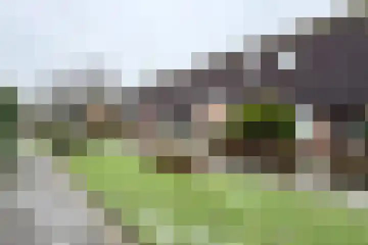 Slingeland 4 Zevenbergen thumbnail 59