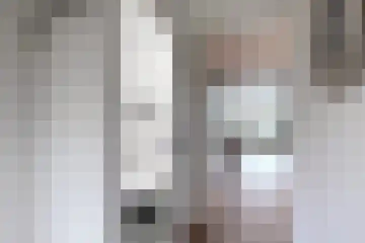 Slingeland 4 Zevenbergen thumbnail 9