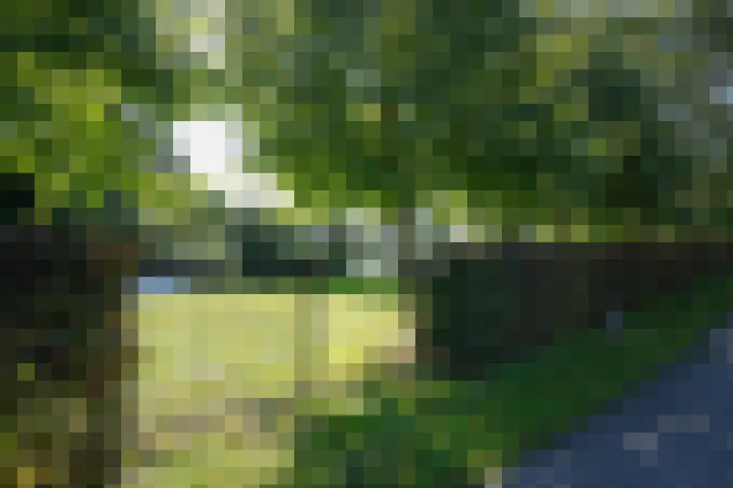 Slingelandseweg 17 A Giessenburg thumbnail 52
